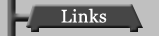 Modeling Links