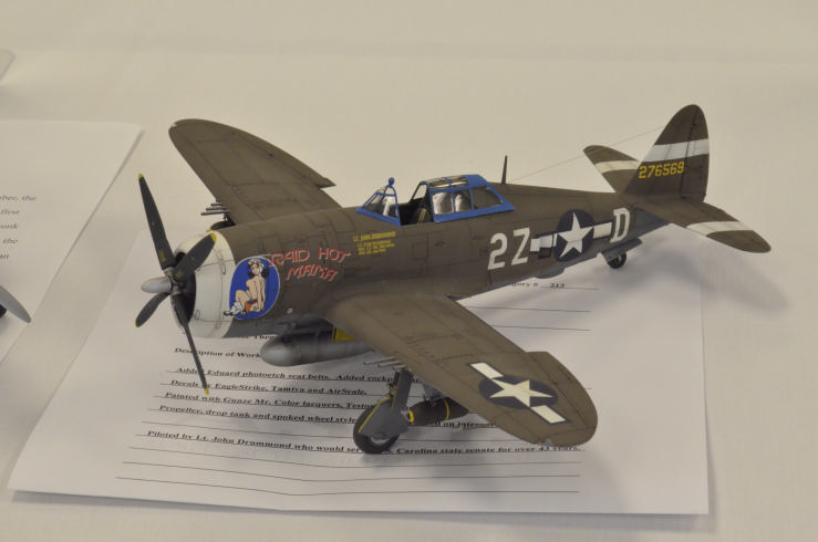P-47D 22RE
