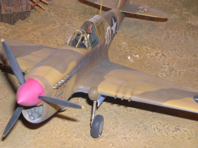 AMTech P-40F Short-Tail
