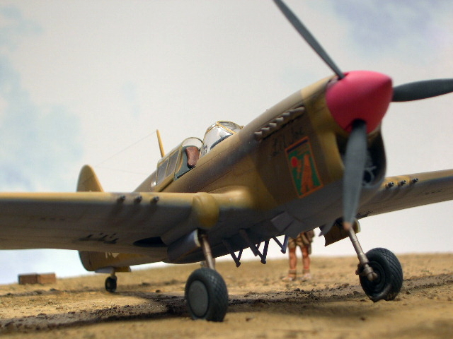 AMTech P-40F Short-Tail
