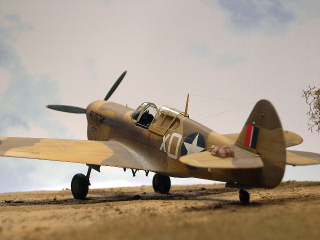 AMTech P-40F Short-Tail
