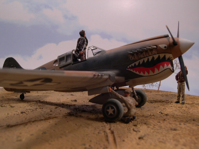 AMTech P-40K
