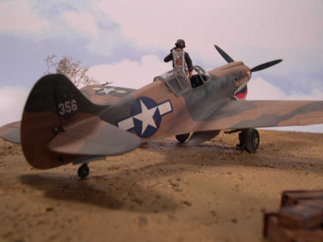 AMTech P-40K
