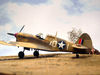 AMTech P-40F Short-Tail_11.jpg