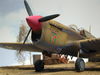 AMTech P-40F Short-Tail_4.JPG