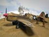 AMTech P-40F Short-Tail_5.JPG