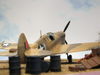 AMTech P-40F Short-Tail_7.JPG