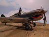 AMTech P-40K_4.JPG