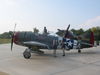 Tamiya P-47 Gabreski_3.JPG
