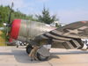 Tamiya P-47 Gabreski_8.JPG
