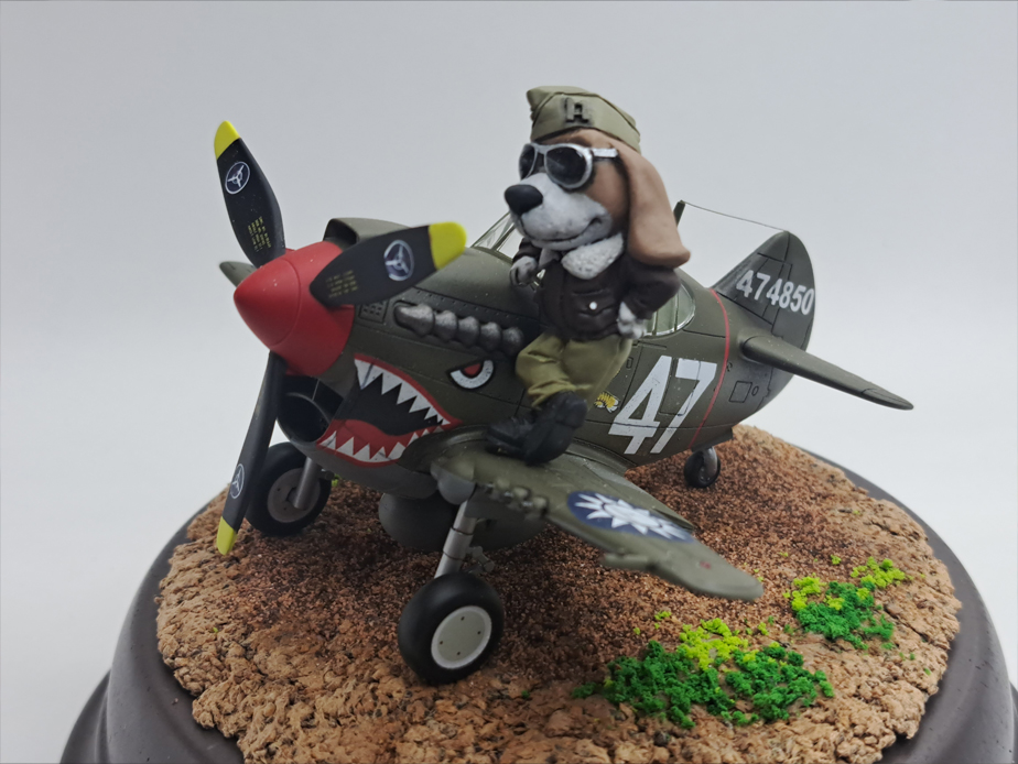 P-40 Warhawk with Pilot (Tiger Model Non-Scale)
