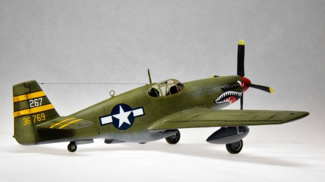P-51B (Monogram 1/48)
Markings are those of Tex Hill who flew this aircraft in China.
