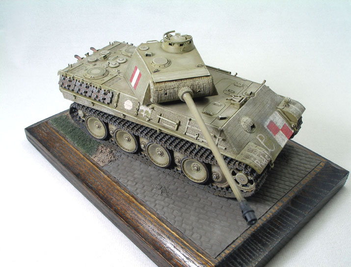 Polish Resistance Panther (Tamiya 48th Box Stock)
