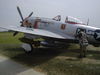 Academy P-47_8.JPG