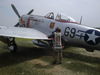 Academy P-47_9.JPG