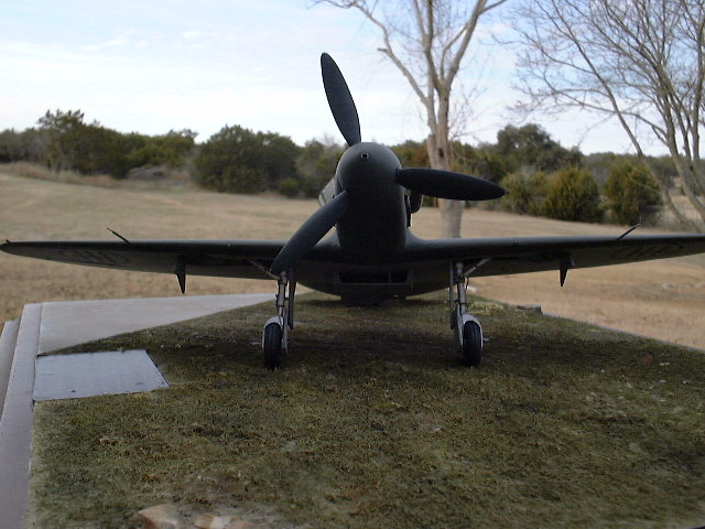 Falcon Re.2005
