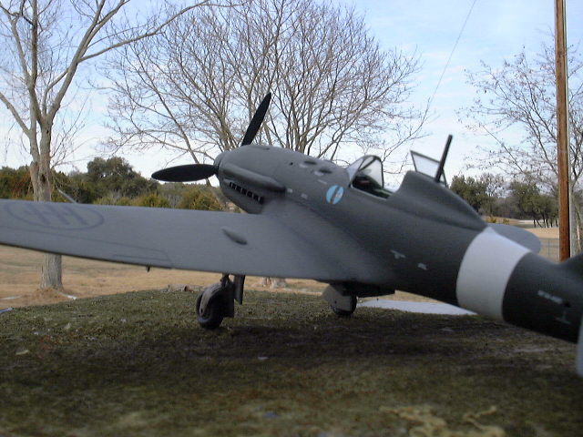 Falcon Re.2005
