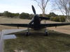 Falcon Re.2005_7.JPG