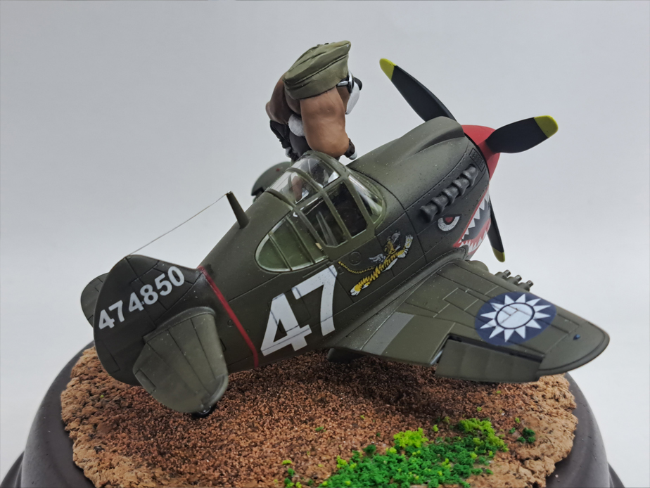 P-40 Warhawk with Pilot (Tiger Model Non-Scale)
