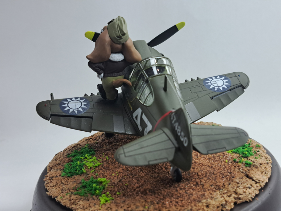 P-40 Warhawk with Pilot (Tiger Model Non-Scale)
