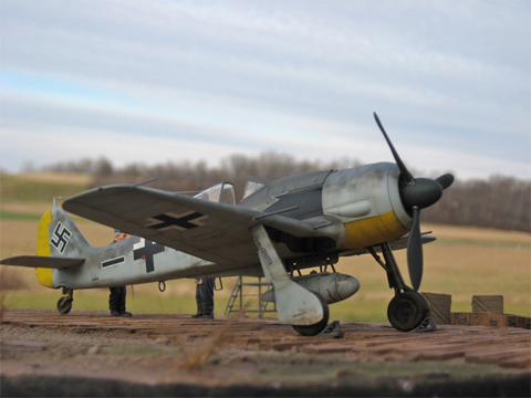 FW-190A-8 (Accurate Miniatures 1/48)
