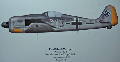 FW-190A-8 (Accurate Miniatures 1/48)
