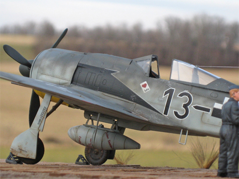 FW-190A-8 (Accurate Miniatures 1/48)
