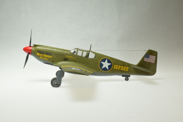 P-51 (Accurate Miniatures 1/48)
154th Recon Squadron, 68th observation group, Sebeitla, Tunisia. April 1943.
