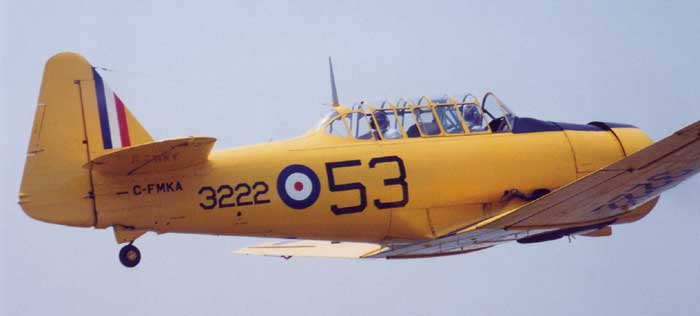 Harvard II
