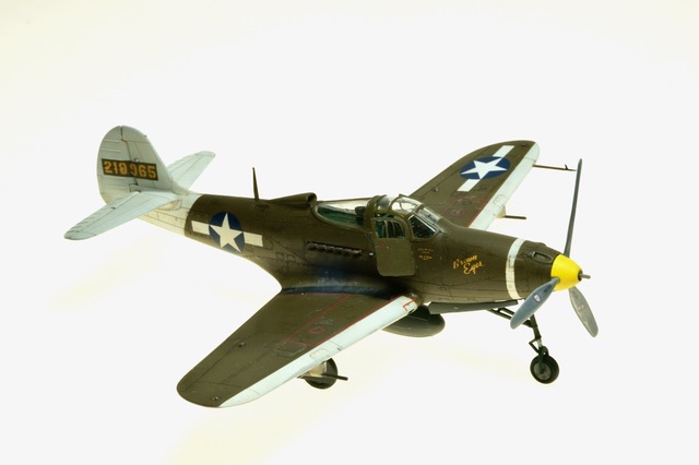 P-39Q, New Guinea, Spring 1944, flown by Michael Moffitt (Arma 1/72)
