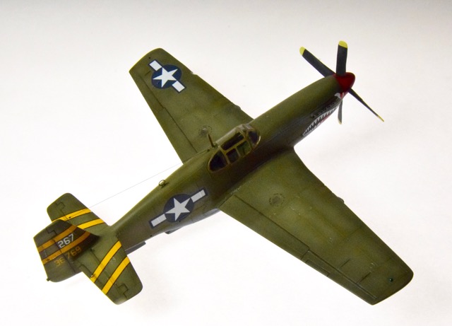 P-51B (Monogram 1/48)
Markings are those of Tex Hill who flew this aircraft in China.
