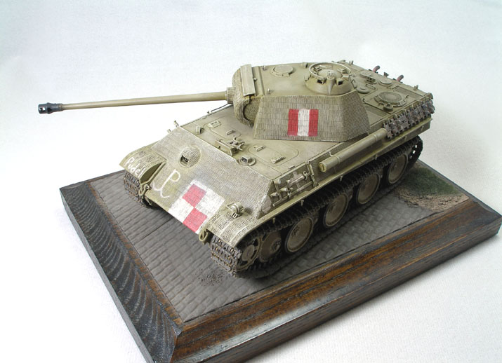 Polish Resistance Panther (Tamiya 48th Box Stock)
