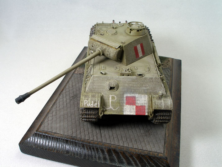 Polish Resistance Panther (Tamiya 48th Box Stock)
