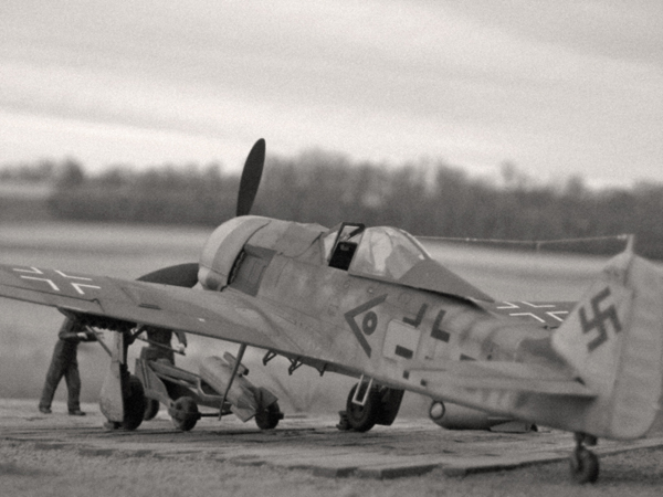 FW-190F-9 w/ Bomb Cart (Tamiya 1/48)
