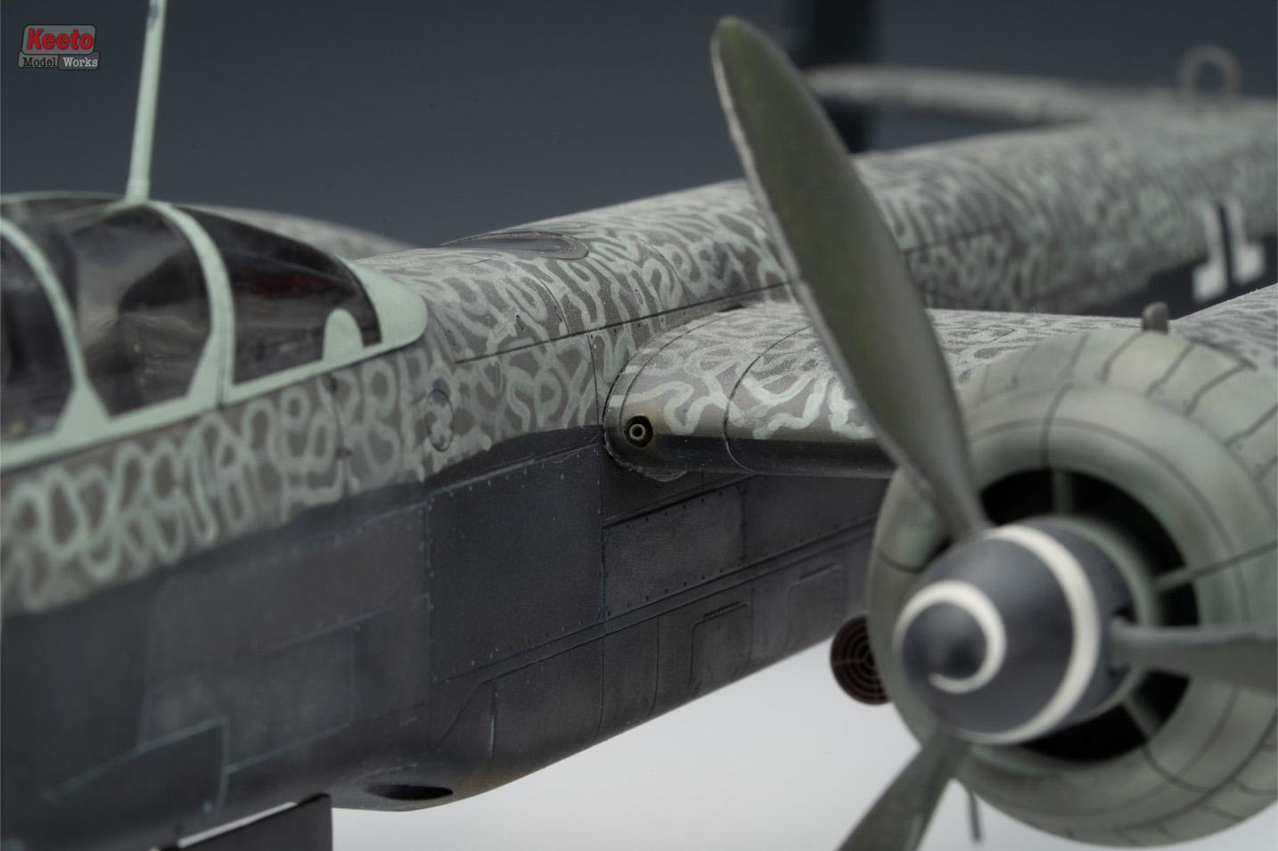 Heinkel 219 (Tamiya 1/48)
