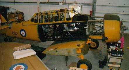 Harvard II
