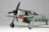 FW190A55.jpg