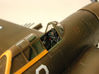 P-47D Raz CP detail.jpg