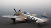 Tamiya_P47-13.jpg