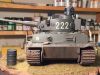 tiger1_4.jpg